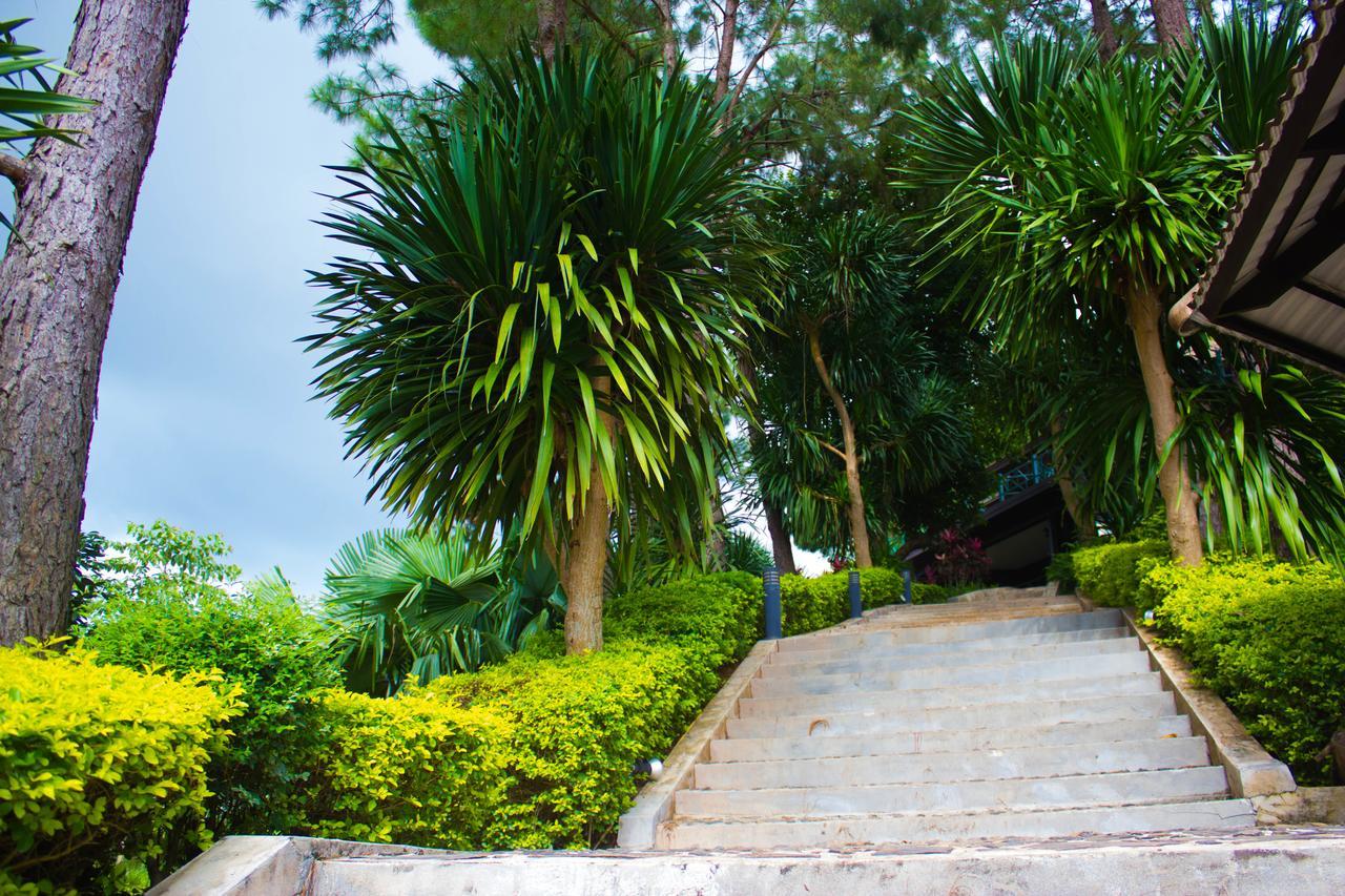 Bird Land Resort Кхао-Кхо Экстерьер фото